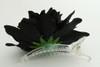 L dalia black big flower