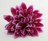 L dalia purple big flower