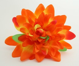L dalia orange big flower