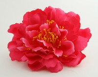 L botan D-pink big flower