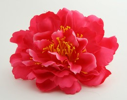 L botan D-pink big flower