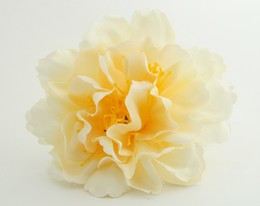 L botan cream big flower