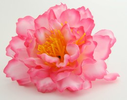 L botan L-pink big flower