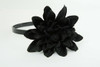 L dalia black big summer flower