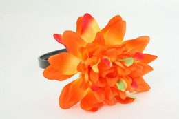 L dalia orange big summer flower