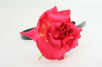 L rose d-pink big summer flower