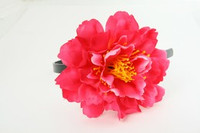 L botan d-pink big summer flower