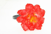 L botan red big summer flower