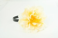 L botan white big summer flower