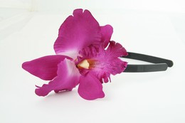 L orchid purple big summer flower
