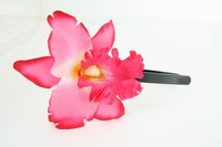 L orchid D-pink big summer flower