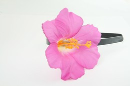 M hibiscus purple medium summer flower
