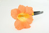 M hibiscus orange medium summer flower