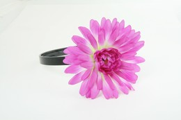 M daisy purple medium summer flower