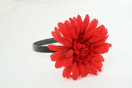 M daisy red medium summer flower