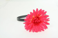 M daisy d-pink medium summer flower