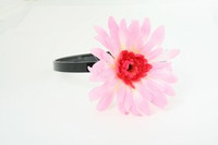 M daisy l-pink / d-pink medium summer flower