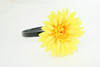 M daisy yellow medium summer flower