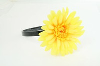 M daisy yellow medium summer flower