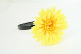 M daisy yellow medium summer flower