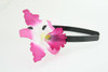 M orchid purple / white medium summer flower