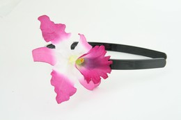M orchid purple / white medium summer flower