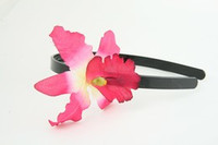 M orchid d-pink / white medium summer flower