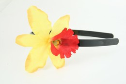 M orchid yellow medium summer flower