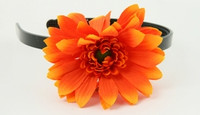M daisy orange medium summer flower