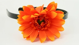 M daisy orange medium summer flower