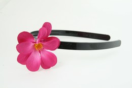 S purple small summer flower