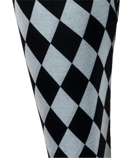 S check spandex legging