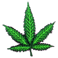 Weed leaf cannabis green marijuana