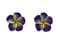 Flower purple white yellow