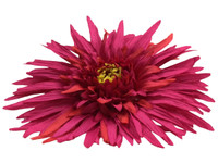 Magenta daisy single hair flower clips