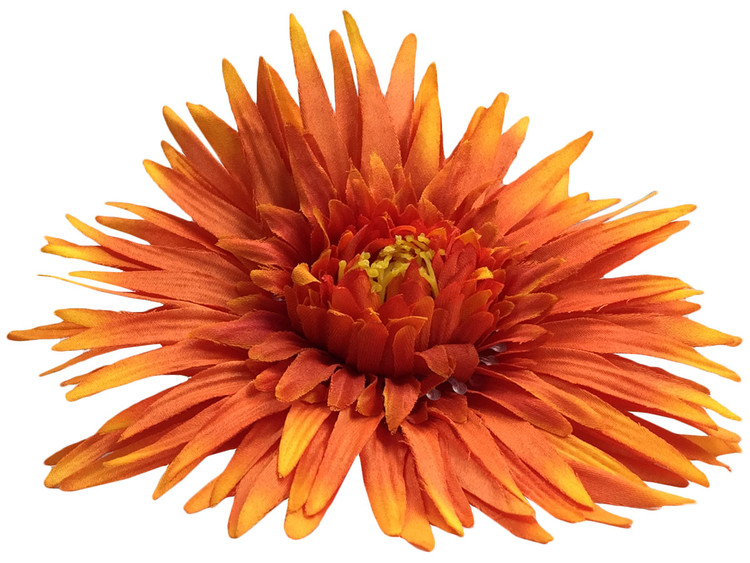 Orange daisy single hair flower clips