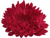 Pink opium single hair flower clips