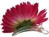 Pink opium single hair flower clips