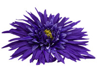 Purple daisy single hair flower clips