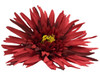 Red daisy single hair flower clips