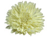 White opium single hair flower clips