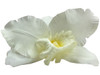 White orchid single hair flower clips