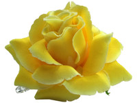Yellow rose single hair flower clips