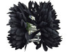 Black opium double hair flower clips