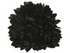 Black opium double hair flower clips
