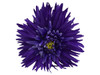 Blue daisy double hair flower clips