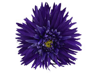 Blue daisy double hair flower clips