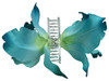 Blue orchid double hair flower clips
