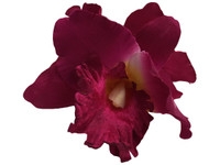 Magenta orchid double hair flower clips