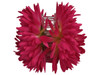 Pink opium double hair flower clips